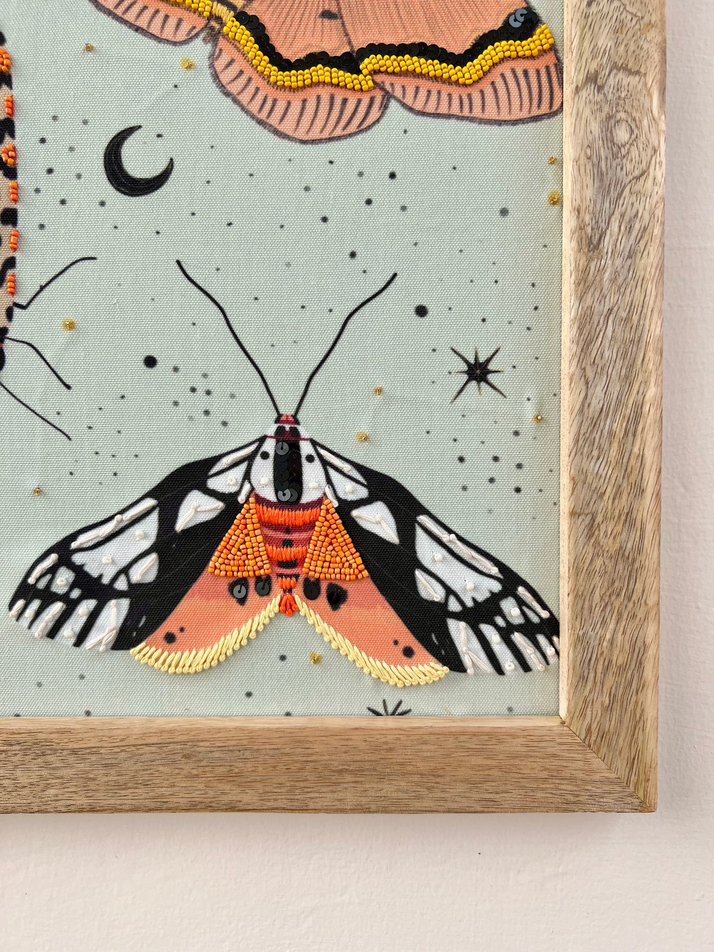 Moths & Butterflies Wall Art