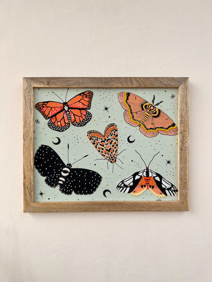 Moths & Butterflies Wall Art