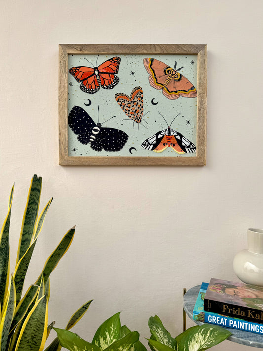 Moths & Butterflies Wall Art