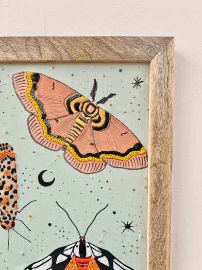 Moths & Butterflies Wall Art