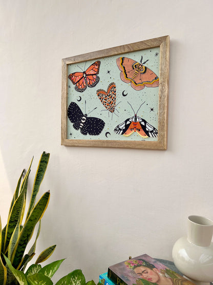 Moths & Butterflies Wall Art