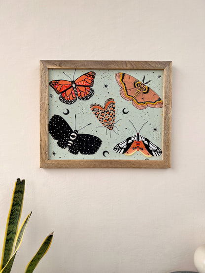 Moths & Butterflies Wall Art