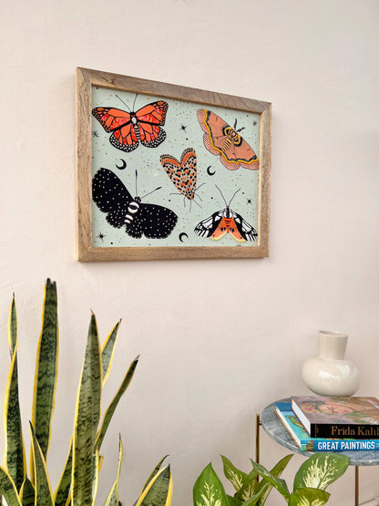 Moths & Butterflies Wall Art